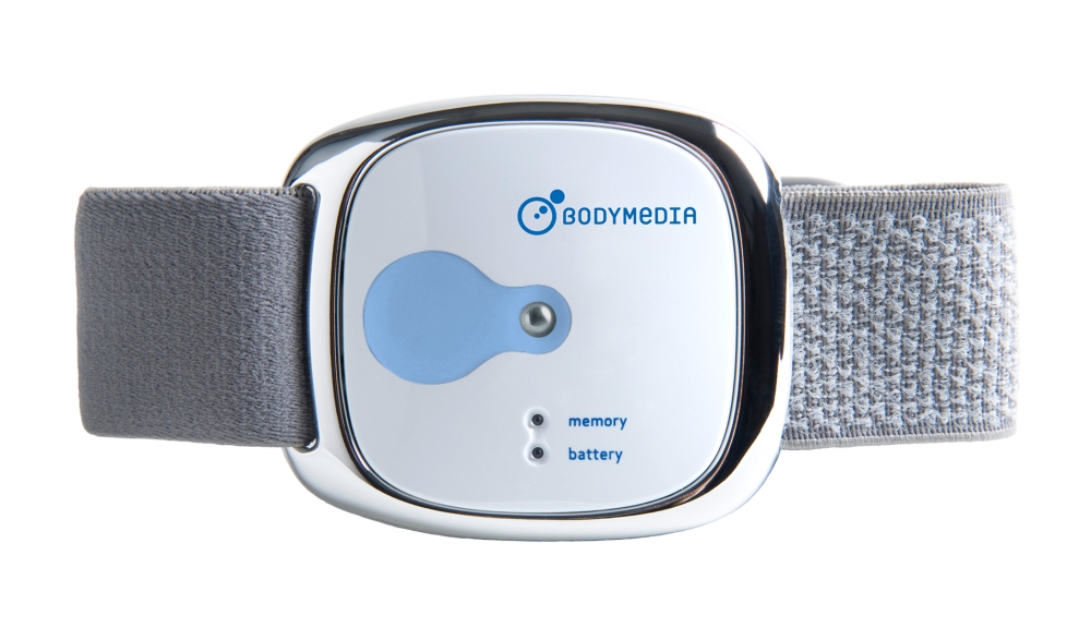 Buy BodyMedia FIT LINK Armband Weight Management System Online Cheap Amazon